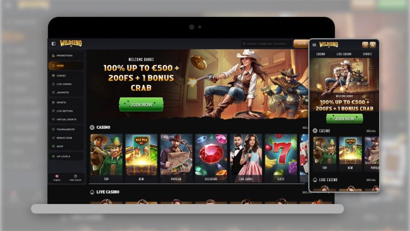 Wildsino Casino VIP programme